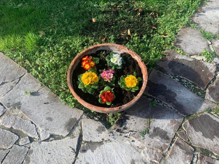Apartament Leupupe Relax Cultura Mare Monti Cascina Zewnętrze zdjęcie