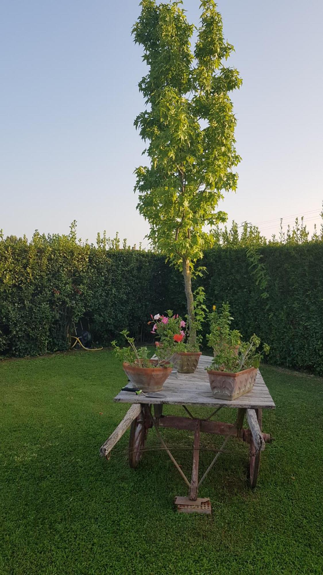 Apartament Leupupe Relax Cultura Mare Monti Cascina Zewnętrze zdjęcie